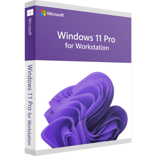 Windows 11 Pro for Workstations Download