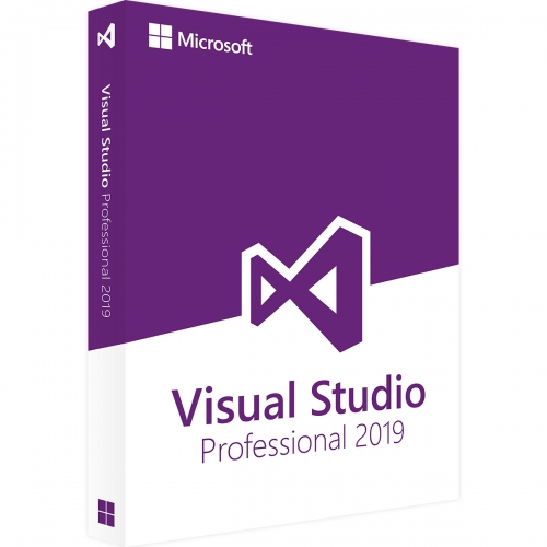 Microsoft Visual Studio 2019 Professinal